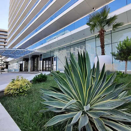 White Titanic Studio310 *